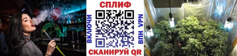 сколько стоит Калининград Конопля сатива